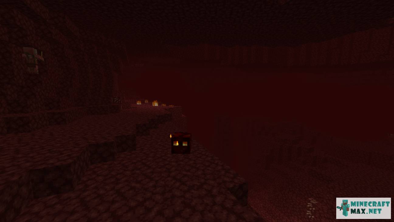 Black gem in Minecraft | Screenshot 896