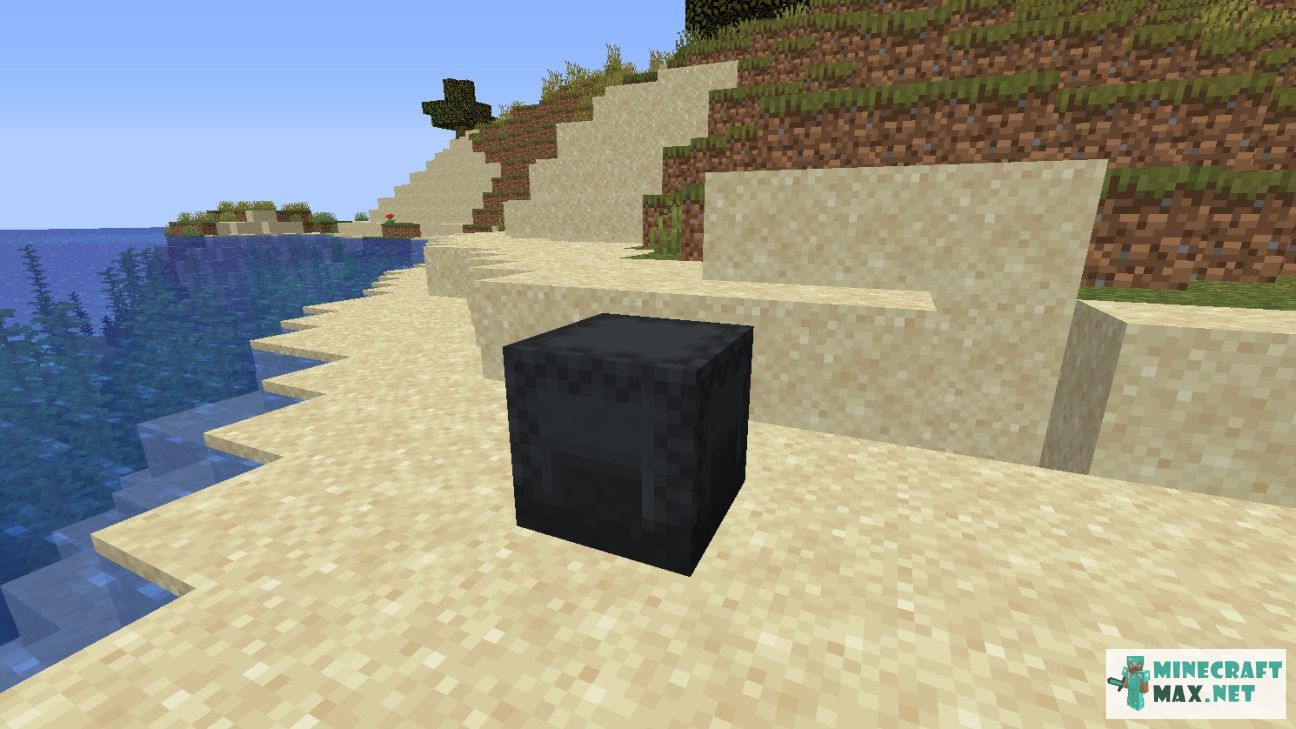 Black gem in Minecraft | Screenshot 2782