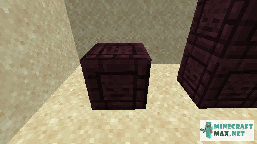Black gem in Minecraft | Screenshot 2950