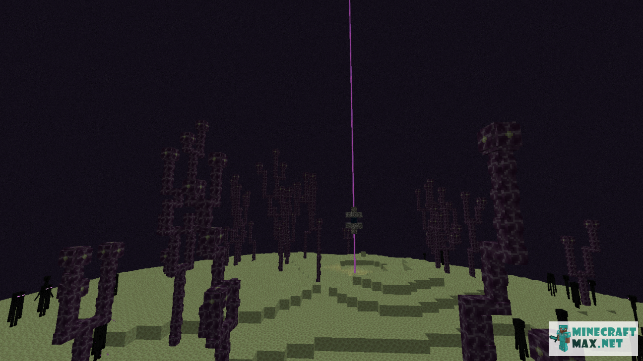 Black gem in Minecraft | Screenshot 1593