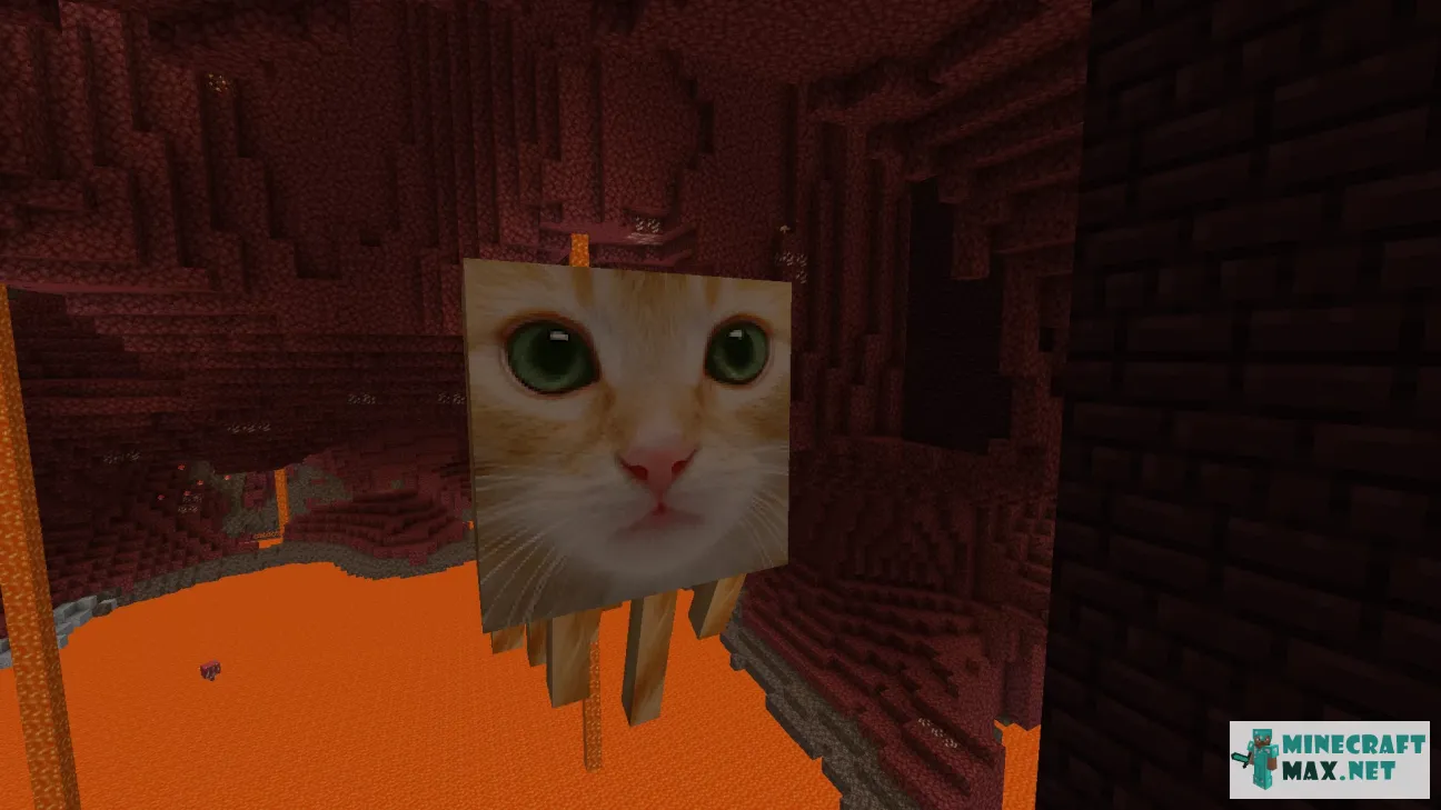 Ghast Cat | Download texture for Minecraft: 1