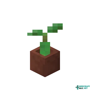 Potted Mangrove Propagule in Minecraft