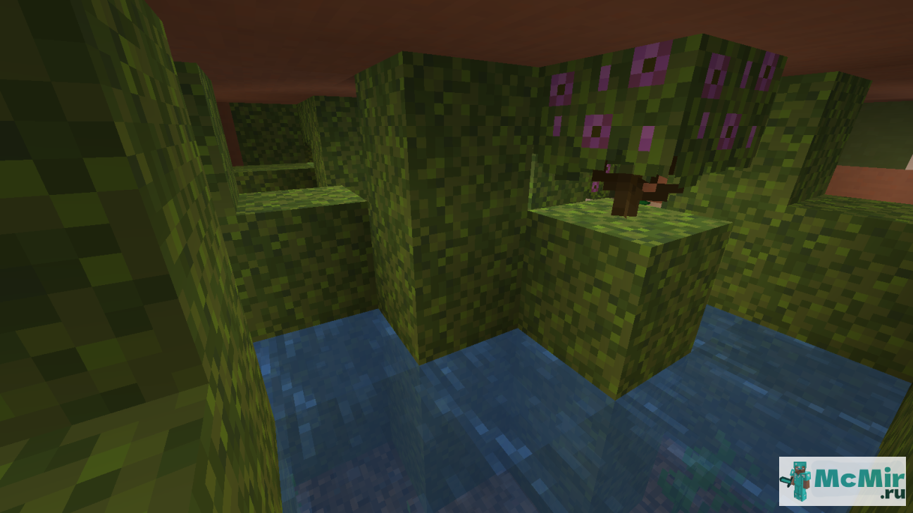  | Screenshot 10
