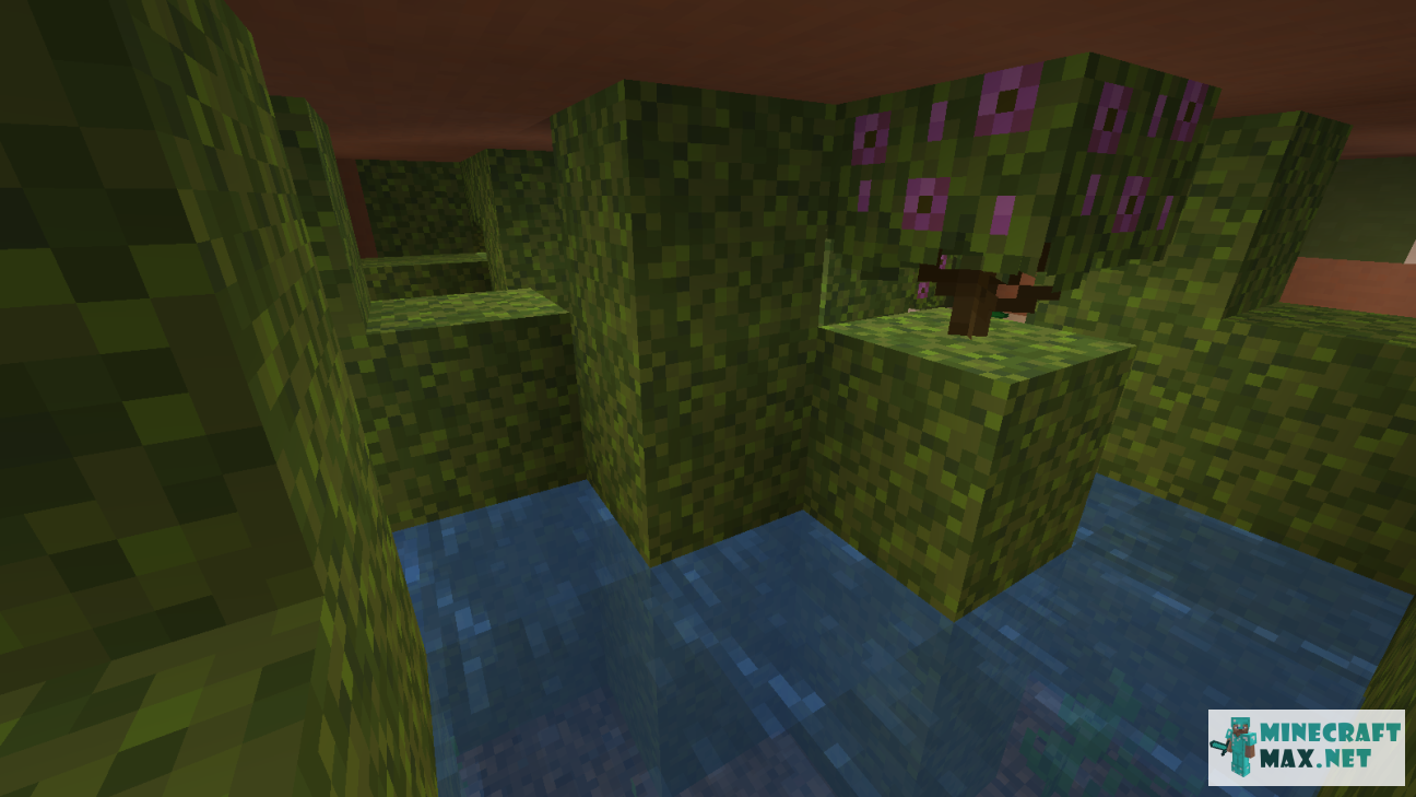  | Screenshot 10