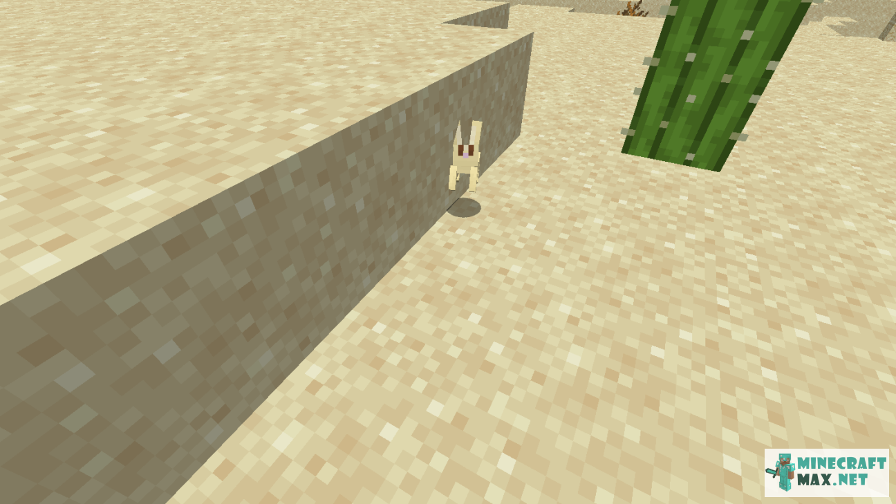 Modem in Minecraft | Screenshot 1290