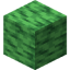 Green Paper Block в Майнкрафт