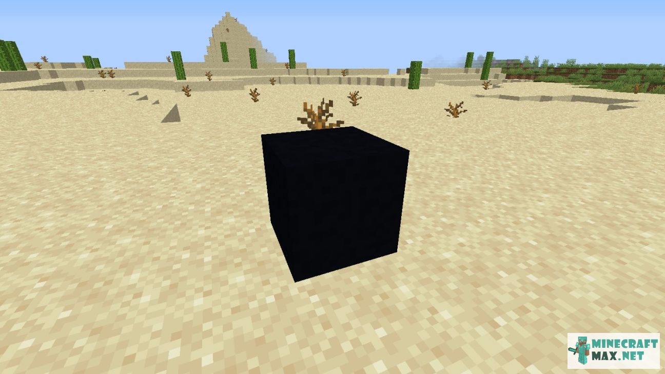 Black gem in Minecraft | Screenshot 2682