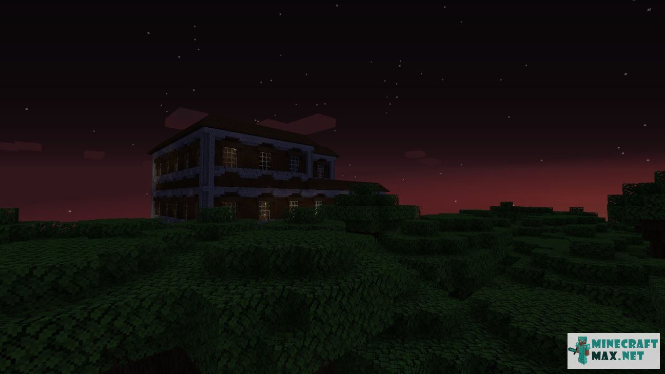 Black gem in Minecraft | Screenshot 1673