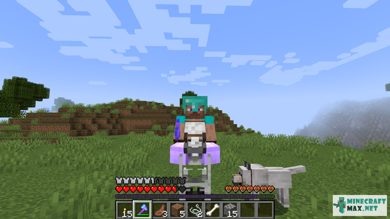 Veiciet uzdevumu Скриншот игрока верхом на лошади-скелете programmā Minecraft | Screenshot 7