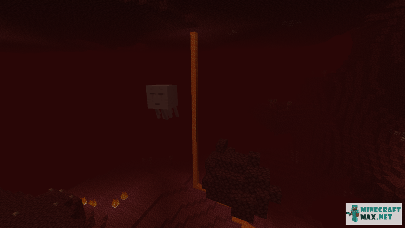 Black gem in Minecraft | Screenshot 844