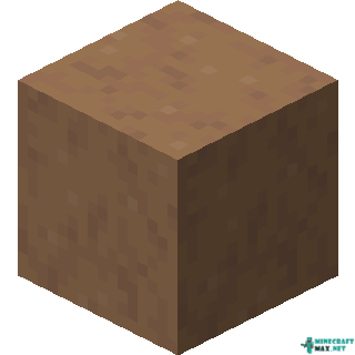 Brown Mushroom Block in Minecraft