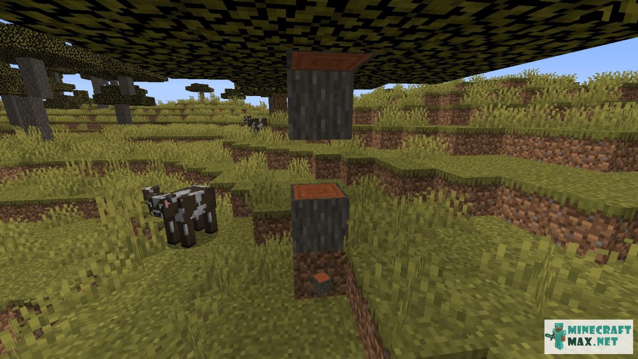 Acacia Stairs in Minecraft | Screenshot 2
