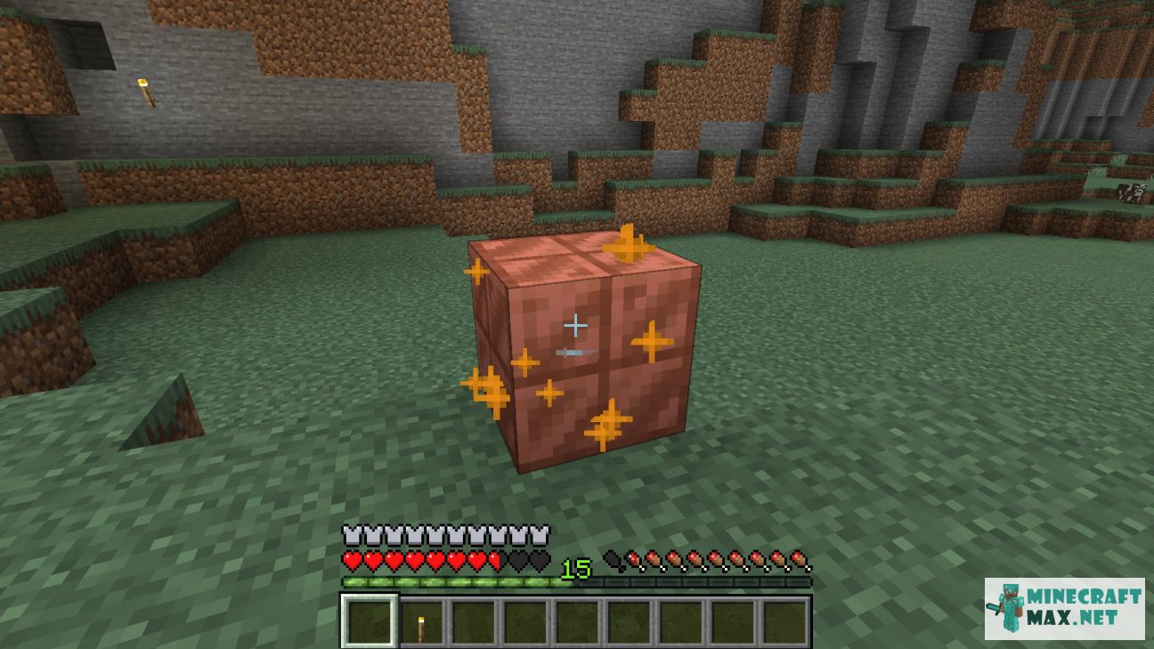 Modem in Minecraft | Screenshot 3369