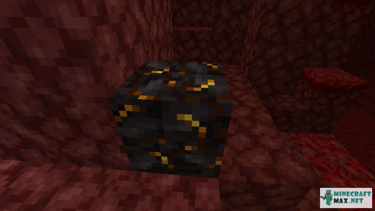 Black gem in Minecraft | Screenshot 2932