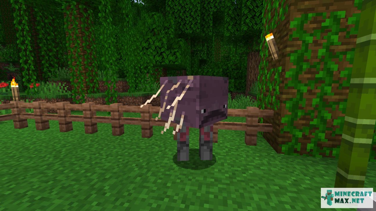 Black gem in Minecraft | Screenshot 2631