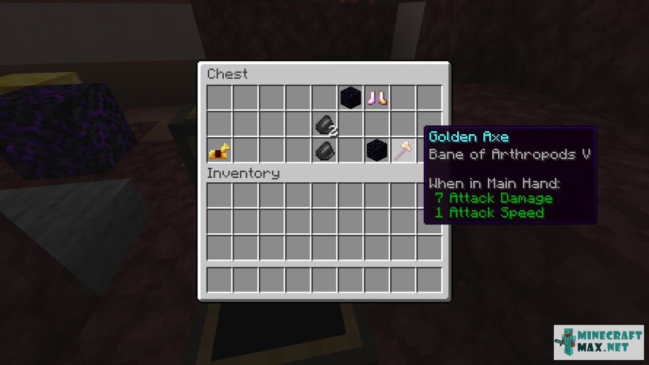 Black gem in Minecraft | Screenshot 3100