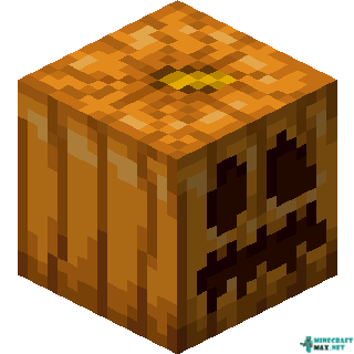 Carved Pumpkin in Minecraft