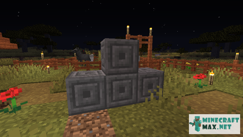 Black gem in Minecraft | Screenshot 851