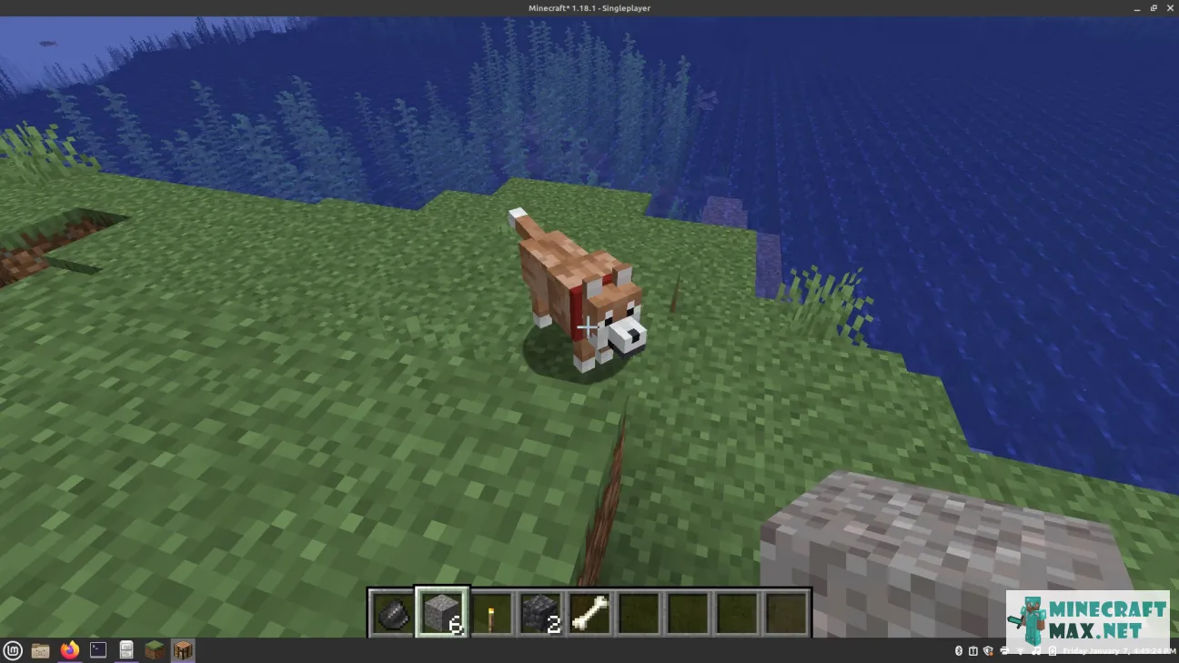 Mildly better dog | Download texture for Minecraft: 1