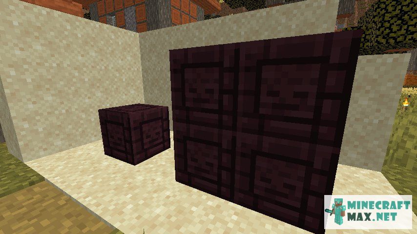 Black gem in Minecraft | Screenshot 2951