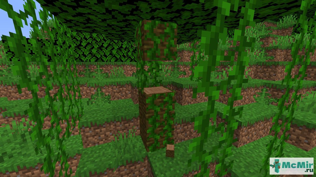 Как сделать калитку из тропического дерева в Майнкрафт | Screenshot 3