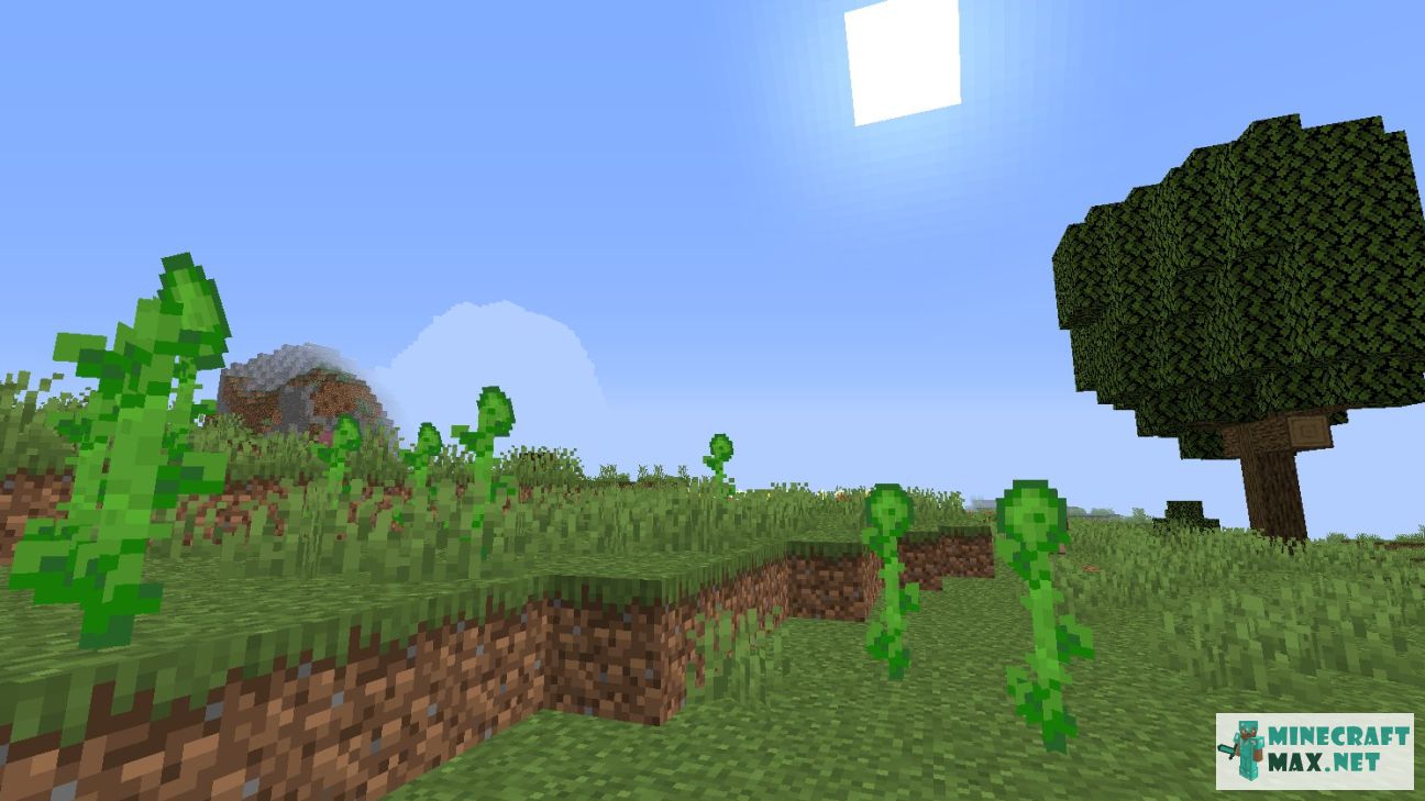 Modem in Minecraft | Screenshot 624