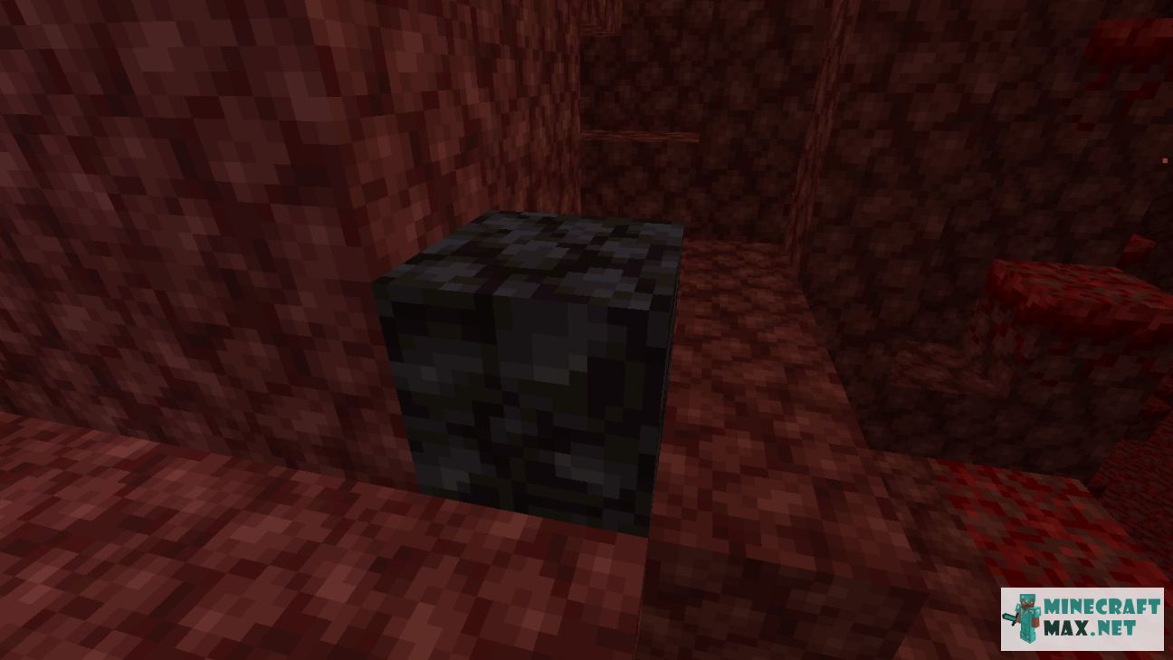 Black gem in Minecraft | Screenshot 2925