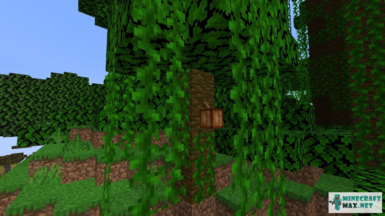 Modem in Minecraft | Screenshot 3049