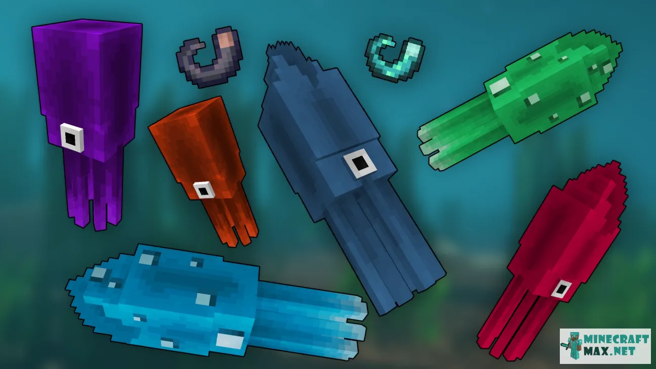 Remodeled Squids : 1