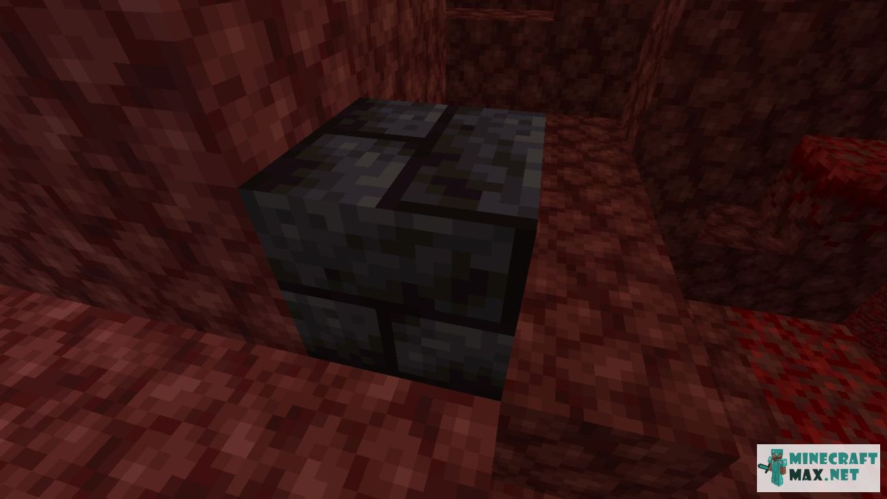 Black gem in Minecraft | Screenshot 2864