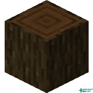 Dark Oak Log in Minecraft