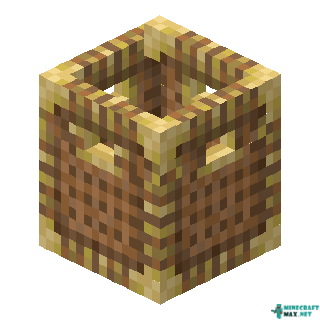 Basket in Minecraft