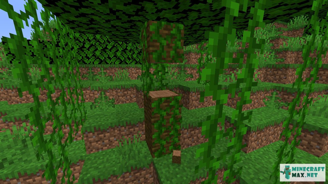Kā izveidot забор из тропического дерева Mainkraftā | Screenshot 2