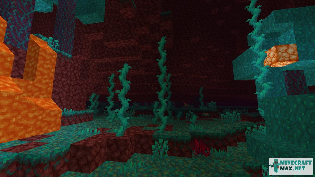 Twisting Vines Plant in Minecraft | Screenshot 1