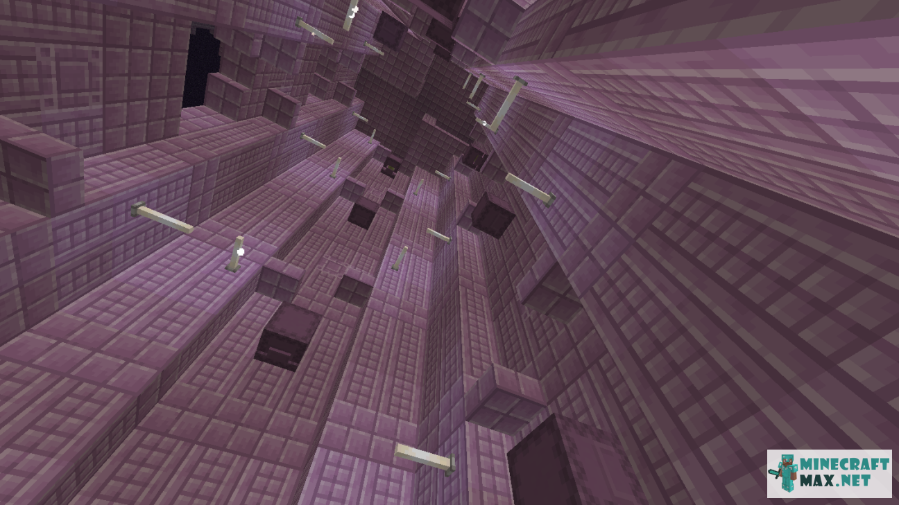 Black gem in Minecraft | Screenshot 1619