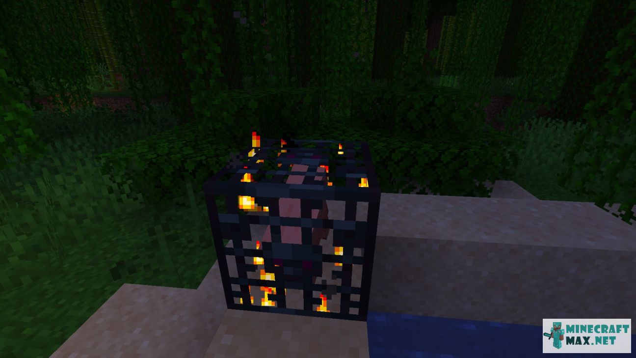 Black gem in Minecraft | Screenshot 1549