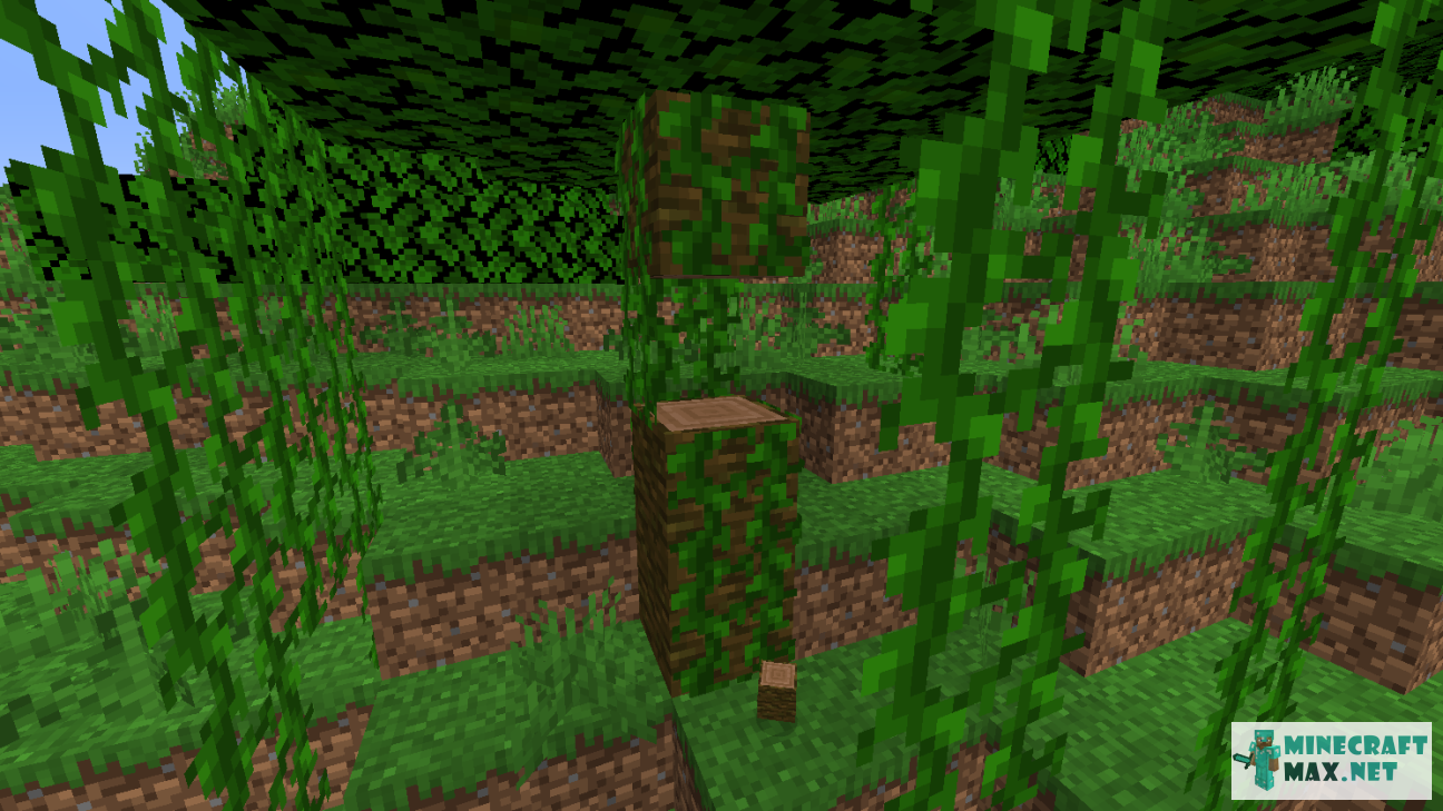 Modem in Minecraft | Screenshot 965