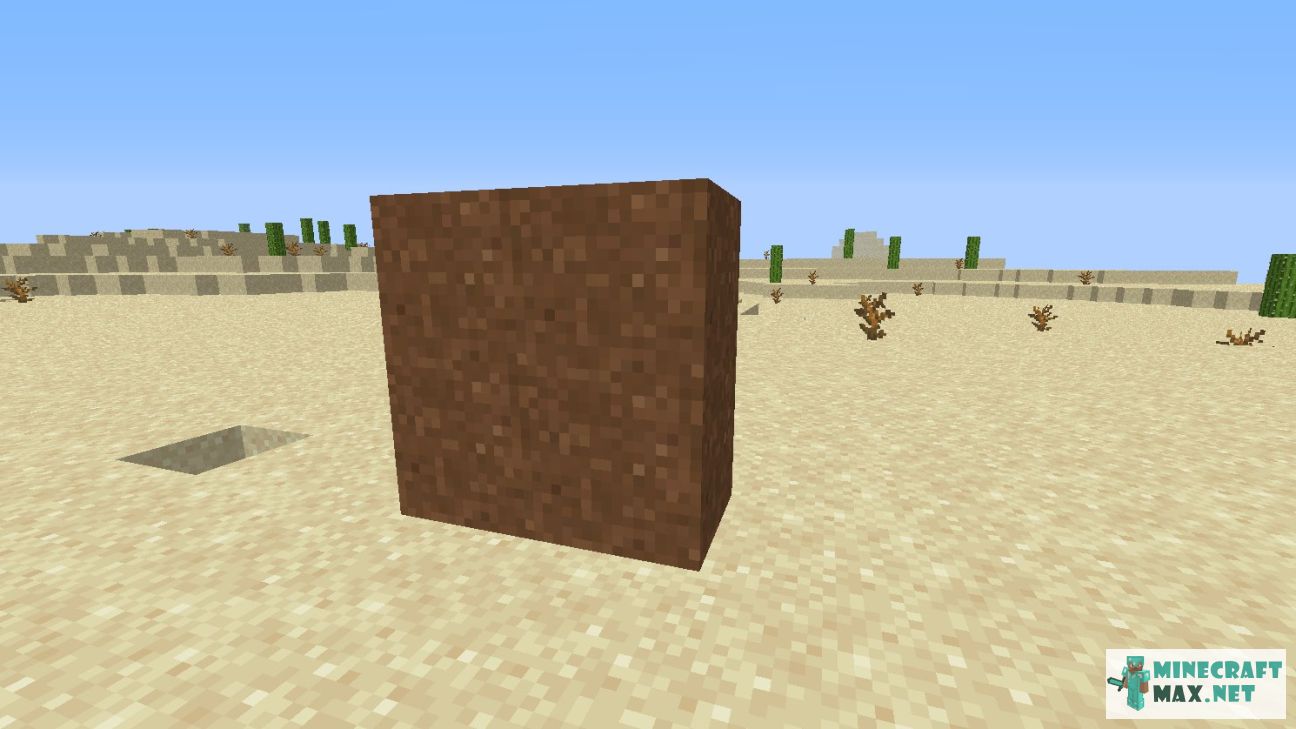Black gem in Minecraft | Screenshot 2693