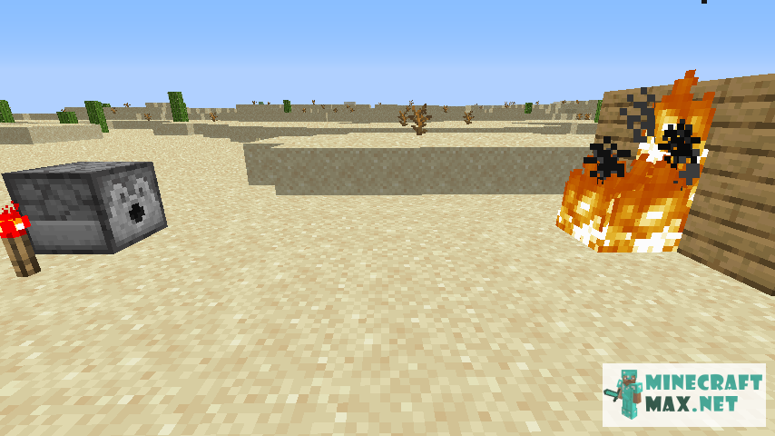Black gem in Minecraft | Screenshot 121