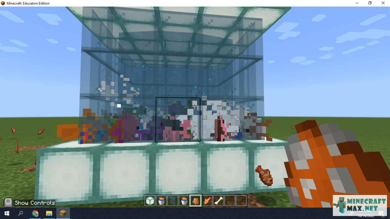 Veiciet uzdevumu Сделать аквариум с тропическими рыбками programmā Minecraft | Screenshot 1