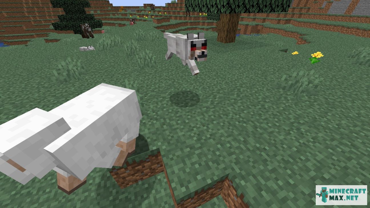 Hostile wolf in Minecraft | Screenshot 1