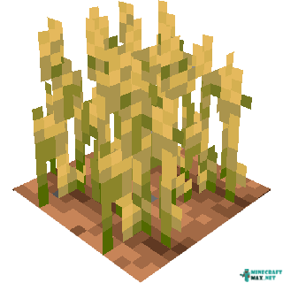 Wheat Crops in Minecraft