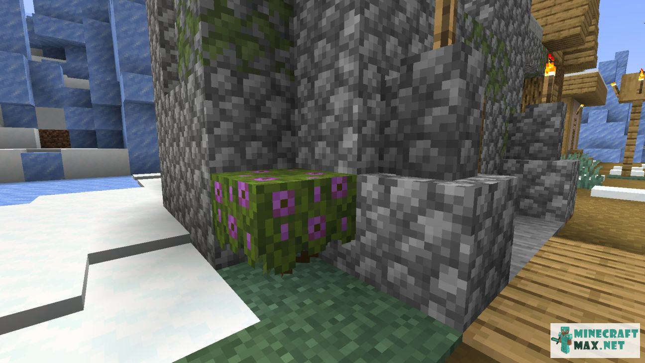 Modem in Minecraft | Screenshot 3392