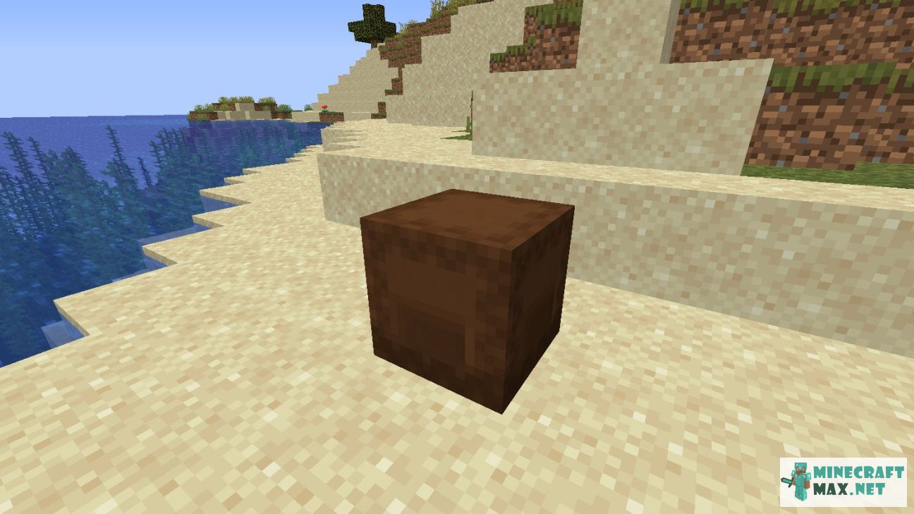 Brown Shulker Box in Minecraft | Screenshot 2