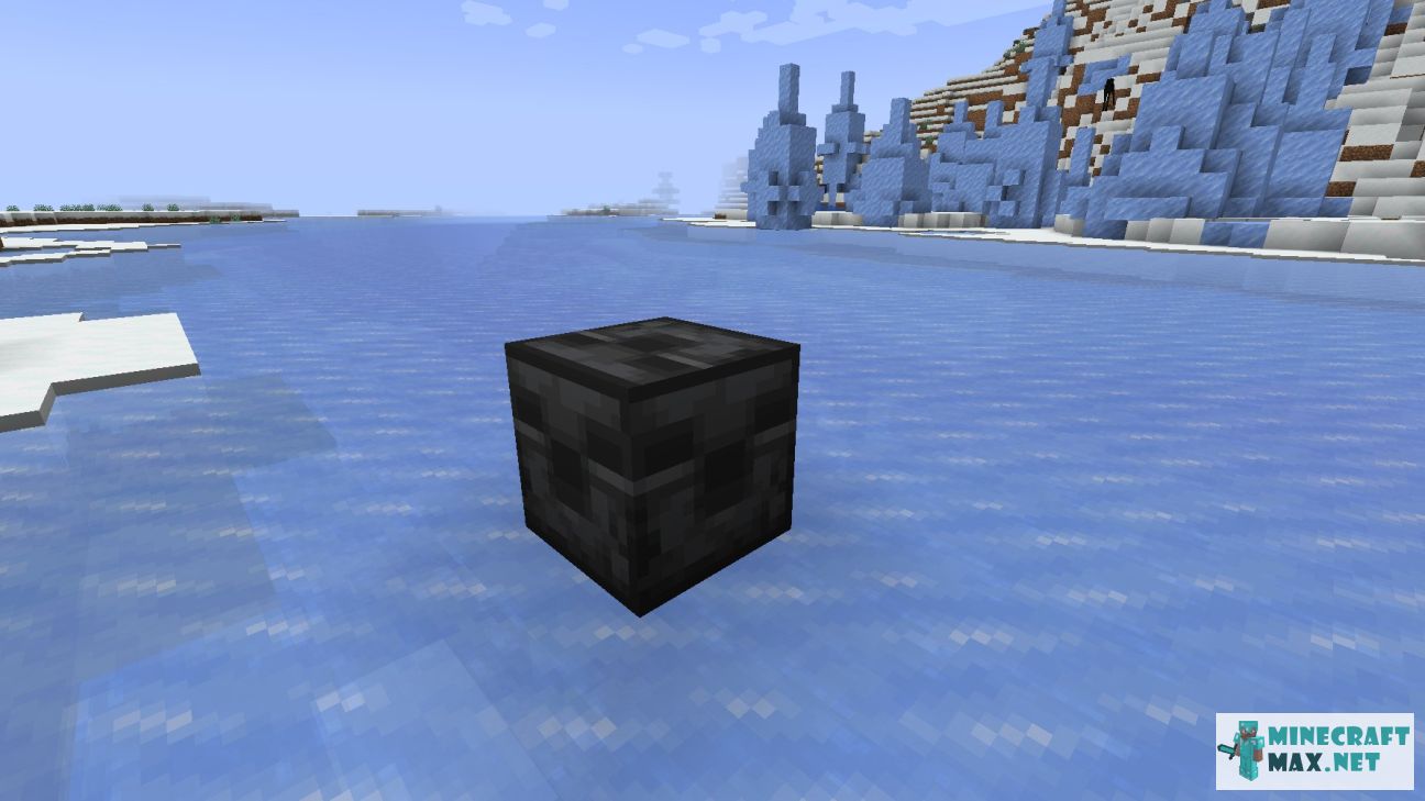 Black gem in Minecraft | Screenshot 3423
