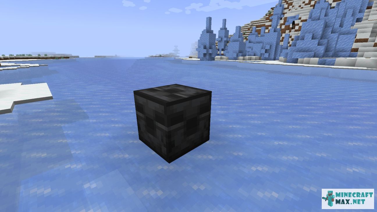 Modem in Minecraft | Screenshot 3417