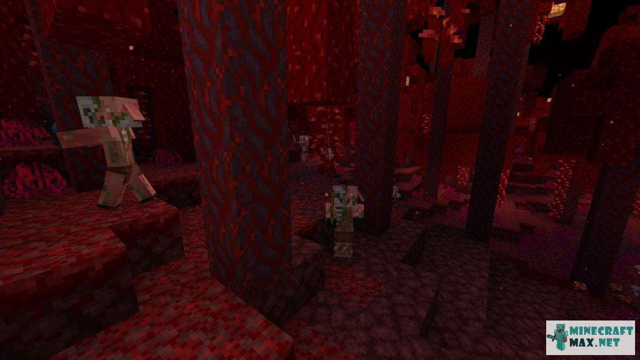 Black gem in Minecraft | Screenshot 865