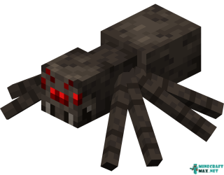 Spider in Minecraft