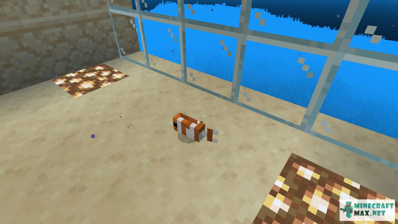 Clownfish in Minecraft | Screenshot 1