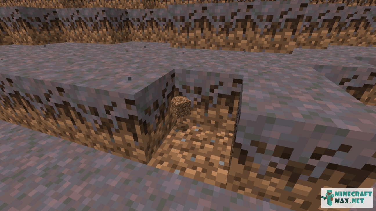 Mycelium in Minecraft | Screenshot 1